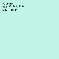#C0F4E4 - Mint Tulip Color Image